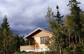 Сколько россиян хотят купить загородный дом